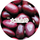 大正金時