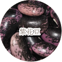 紫花豆